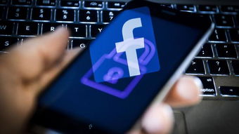 從教訓(xùn)到行動(dòng) Facebook收購(gòu)網(wǎng)絡(luò)安全公司的戰(zhàn)略意圖與上海網(wǎng)絡(luò)信息安全軟件開發(fā)的機(jī)遇